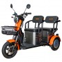 Triciclu electric RURIS Pilot 3020G