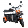 Triciclu electric RURIS Pilot 3020G
