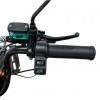 Triciclu electric RURIS Pilot 3020N