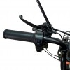 Triciclu electric RURIS Pilot 3020N
