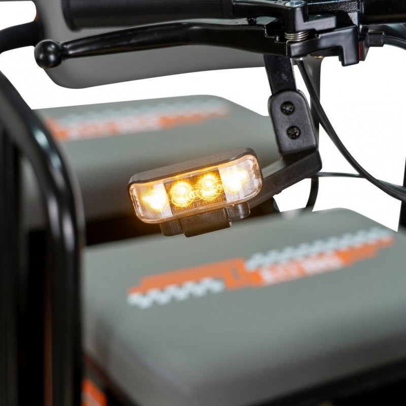 Triciclu electric RURIS Pilot 3020N