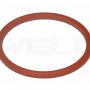 O-Ring Plasma PT40