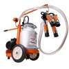 Mulgatoare RURIS Fagaras Lact 601 550 W