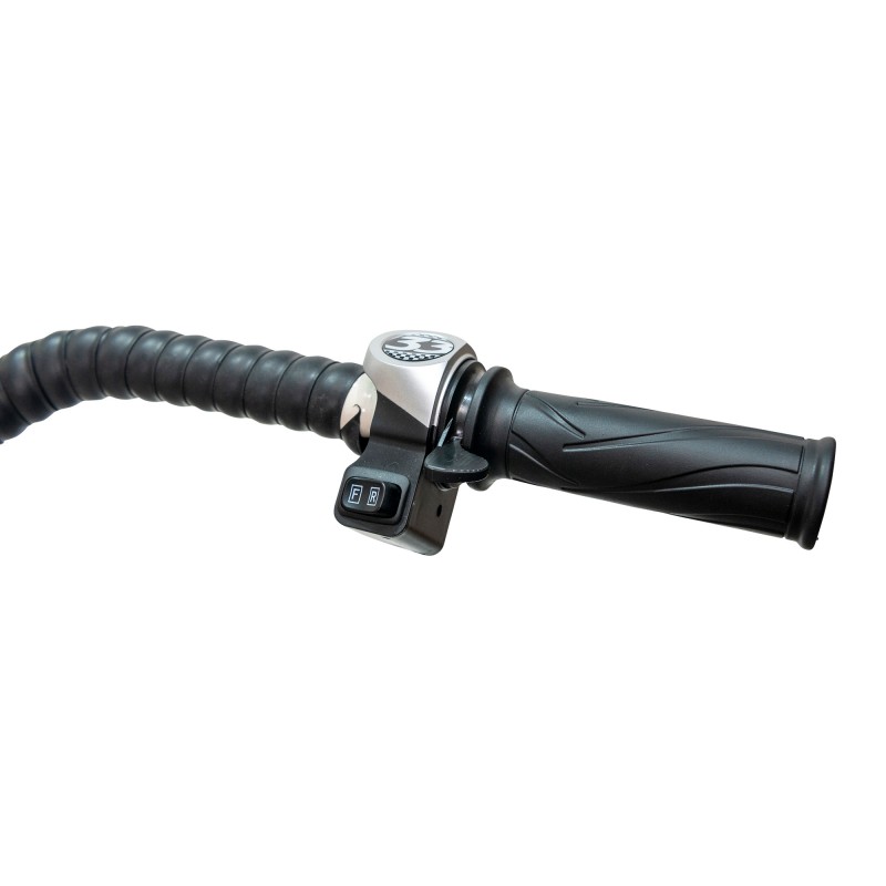 Roaba autopropulsata RURIS  RTS5000 Electric